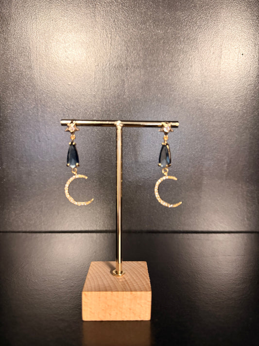 576 EARRINGS